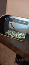 Acquario d arredo