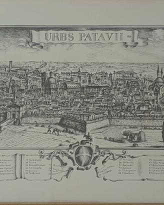 incisione stampa di Padova Antica-Beppi Zaccaria 