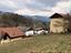 Immagine 11