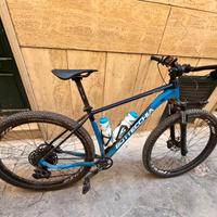 Mountain bike