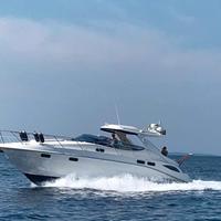 Barca Usata-Sealine S42 T-TOP