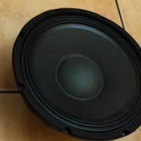 Woofer cono 10 e Tweeter alta efficienza Extreme 