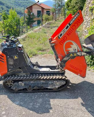 Motocarro a motore