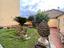 Immagine 11
