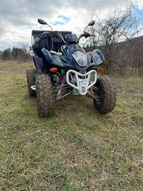 Quad wt motors 300cc