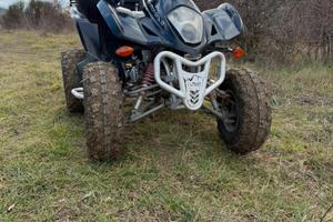 Quad wt motors 300cc