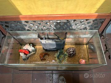 Acquario