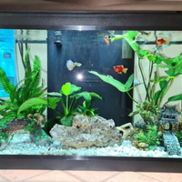 Acquario pescioloni completo filtri e accessori