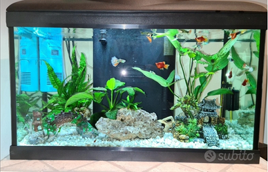 Acquario pescioloni completo filtri e accessori