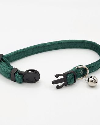 Collare gatto velluto sgancio rapido verde salvia