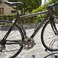 Bici da corsa whistle, bdc
