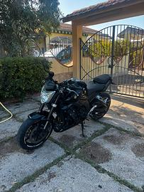Yamaha fz1 da rivedere
