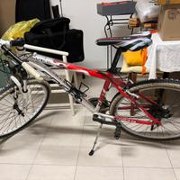 Bicicletta Mountain Bile