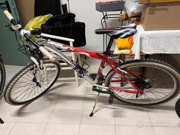 Bicicletta Mountain Bile