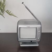 Mini TV portatile IRRADIO