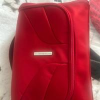 Beauty samsonite