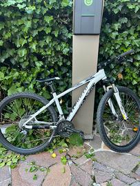 SPECIALIZED mtb