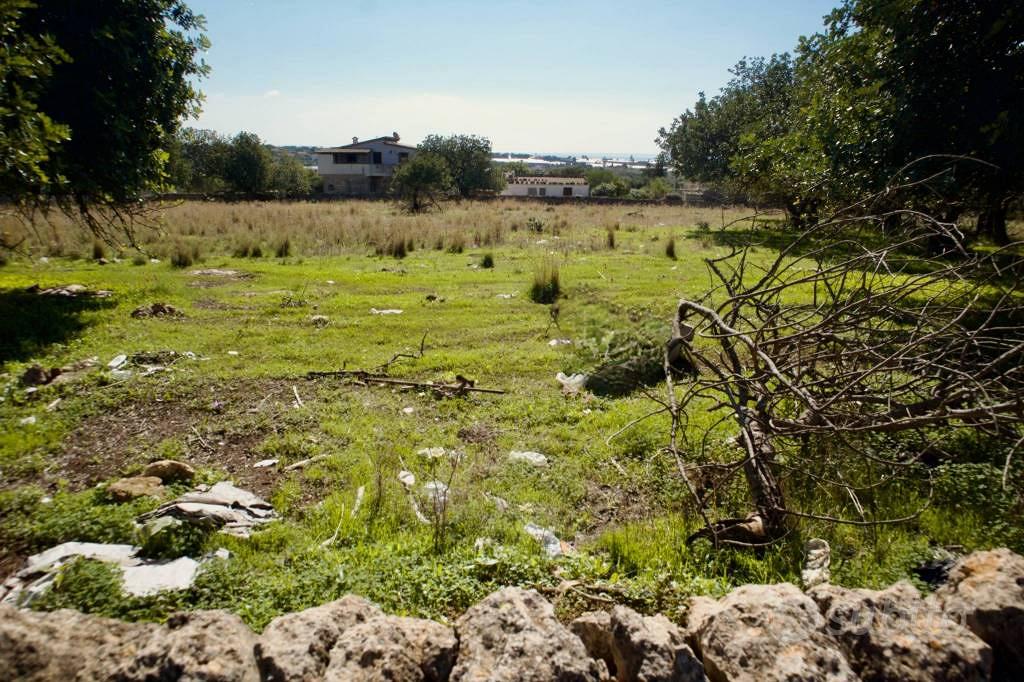 Terreno di 17735 m² a Santa Croce Camerina - Vista 5