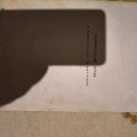 Documento Originale "Dott. Natale Mannino: Curricu