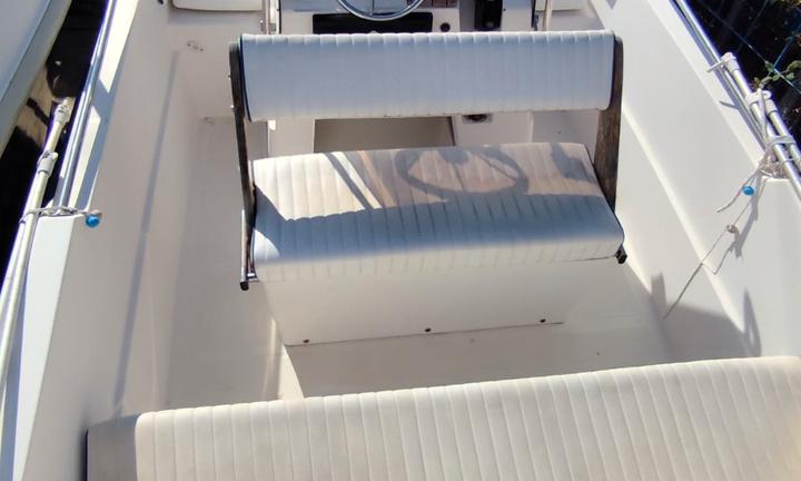 Ranieri Shadow 19 con Mercury 40/60 CV