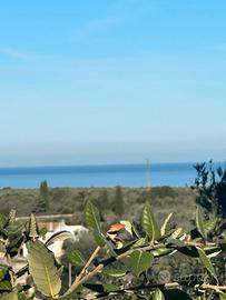 Zona l'Abbiu rustico vista mare con terreno