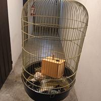 gabbia tipo titti con pidistallo