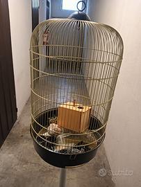 gabbia tipo titti con pidistallo