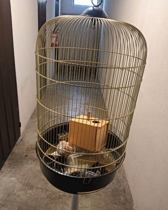 gabbia tipo titti con pidistallo