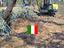Immagine 6