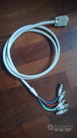 Cavo DSUB(VGA) - RGBHV (5 poli)