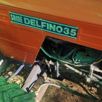 Delfino 35