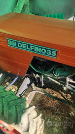 Delfino 35