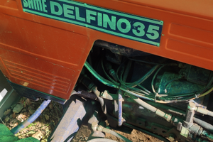 Delfino 35