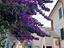 Immagine 8