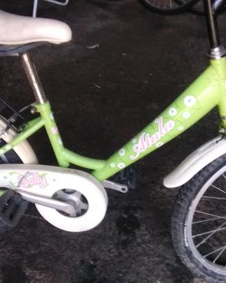 Bicicletta funzionante