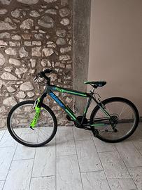 Bici mtb röllmar climb