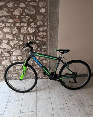 Bici mtb röllmar climb
