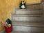 Immagine 27