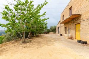 Rustico - Caltagirone