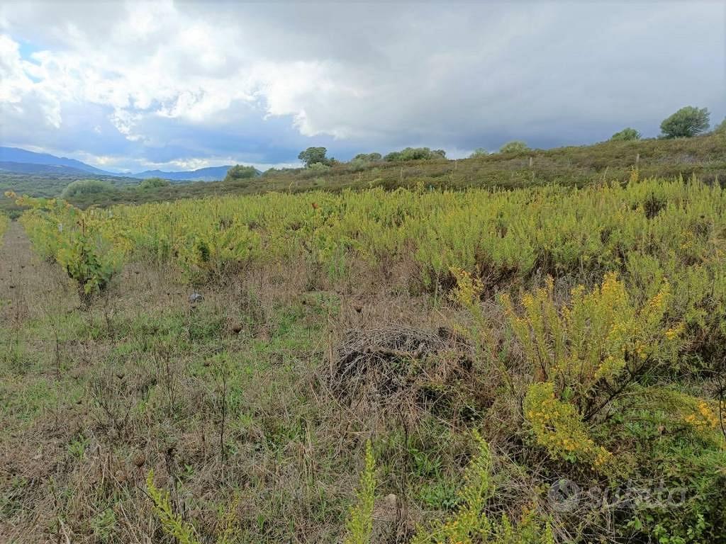 Terreno di 65000 m² a Telti - Vista 5