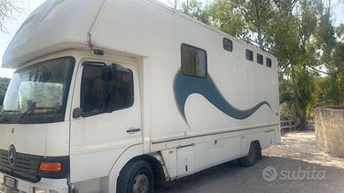 Camion trasporto cavalli