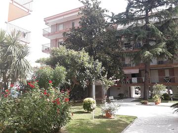 Pineto centro vicino al mare bilocale