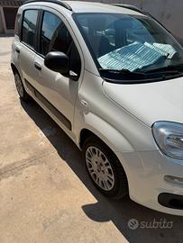 panda 4 posti autocarro 1000 hibrid