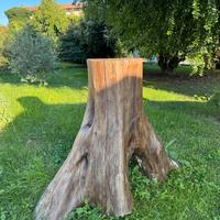 Tavolo tronco da esterno o da interno