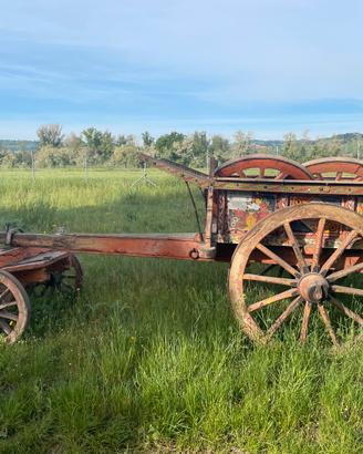 Carro agricolo dipinto a mano
