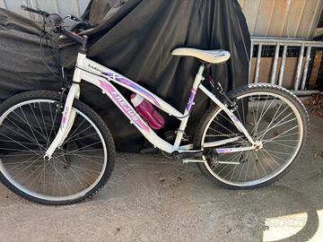 Bicicletta ragazza 26 pollici