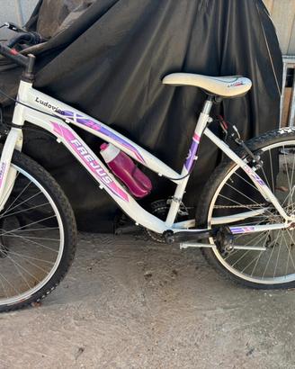 Bicicletta ragazza 26 pollici