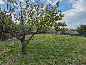 Terreno agricolo Cecina con possibilita' annesso