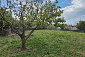 Terreno agricolo Cecina con possibilita' annesso