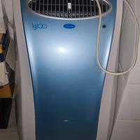 climatizzatore deumidificatore carrier